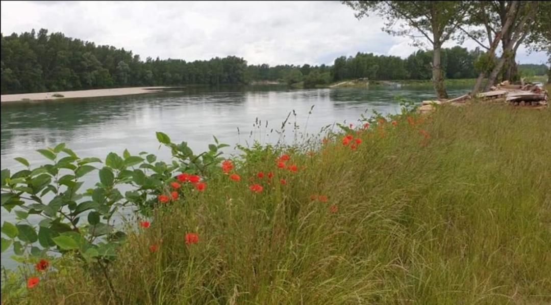 Appartement Drava 1 Donja Dubrava Buitenkant foto