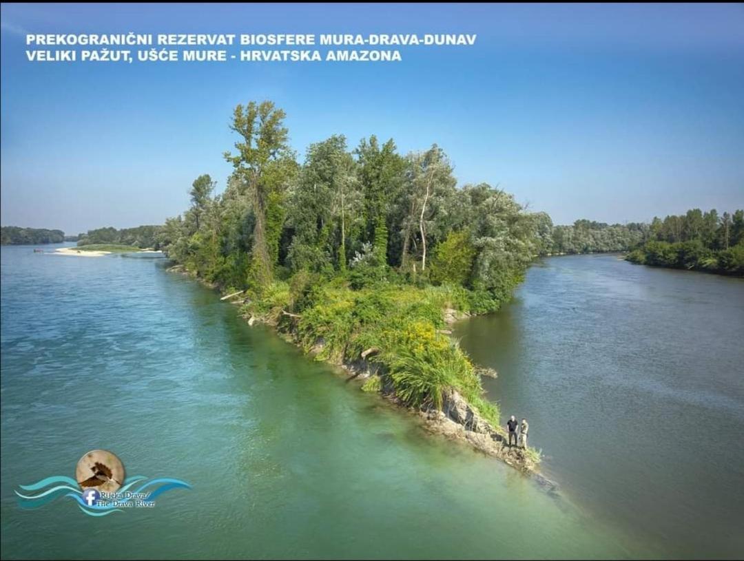 Appartement Drava 1 Donja Dubrava Buitenkant foto